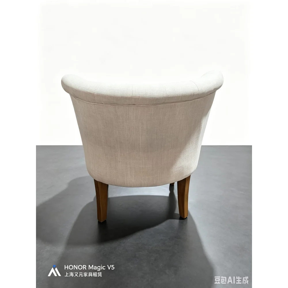 休闲沙发椅产品图4