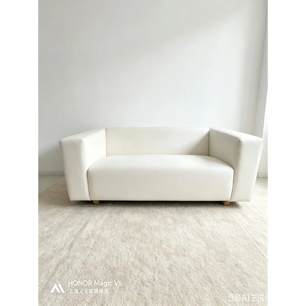 双人平背新款沙发产品图4